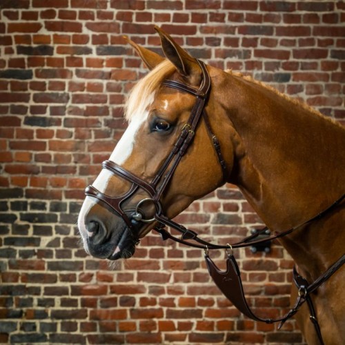 Dyon Bridle double noseband