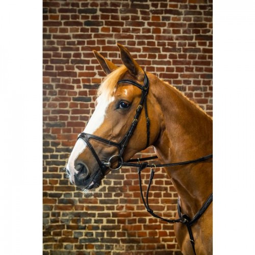 Dyon bridle X-Fit