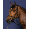 Dyon bridle D-Motion