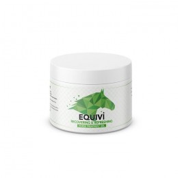 Equivi Recovering Gel