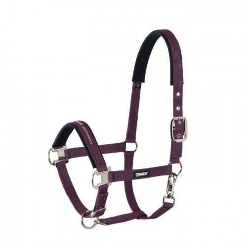 Eskadron Halter Shetty