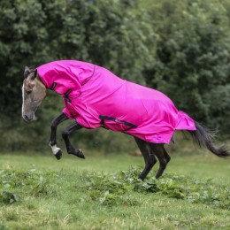 Bucas Freedom Fly Sheet Fuchsia