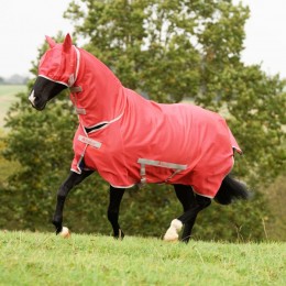 Bucas Freedom Fly Sheet Pony Paradise Pink