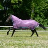 Bucas Freedom Fly Sheet Violet / Green