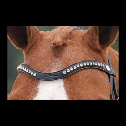Dyon browband with logo