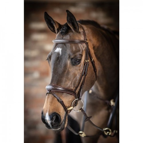 LeMieux Competition Flash bridle