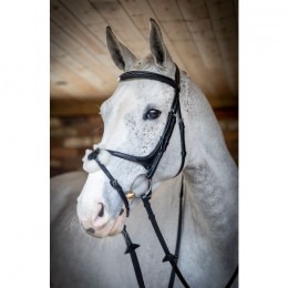 LeMieux Grackle bridle