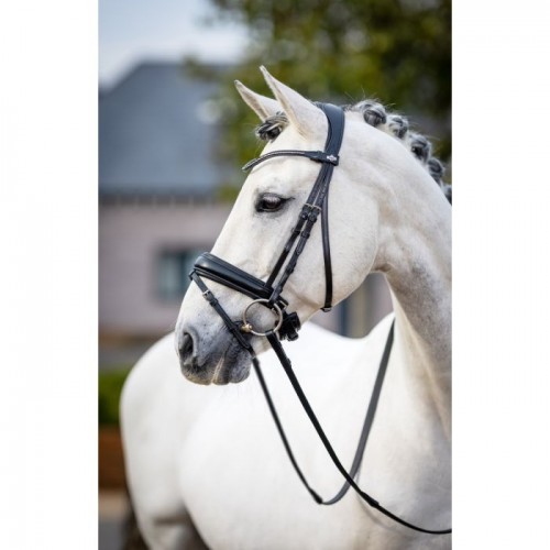 LeMieux Classic Dressage bridle