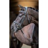 LeMieux Work bridle