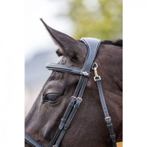 LeMieux Work bridle