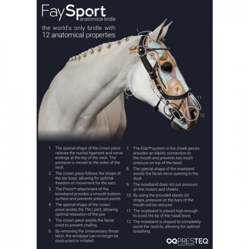 PresTeq Bridle FaySport