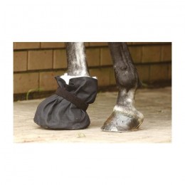 Busse Poultice Boot