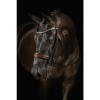 Mrs. Ros Double Bridle Knight Power Deluxe