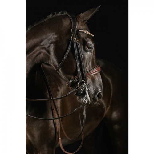Mrs. Ros Double Bridle Knight Power Deluxe