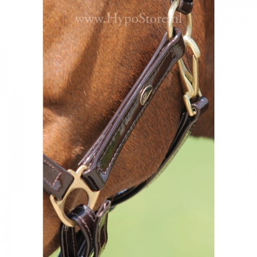 Premiera "Accadia" brown patent leather halter