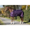 MASTER Winter rug metallic plum 400g