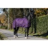 MASTER Winter rug metallic plum 400g