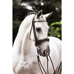 Premiera ''Rome'' Brown rolled double bridle with 4.5 cm patent leather noseband, silver buckles