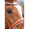 Premiera "Athena" cognac bridle with white padded patent leather noseband, silver buckles