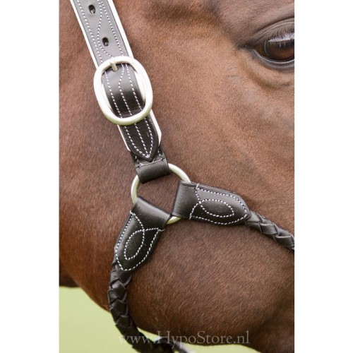 Premiera ''Vienna'' Black leather halter with white padding