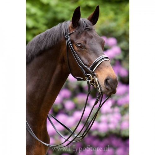 Premiera ''Rome'' Black rolled double bridle with white padded 4.5 cm patent leather noseband