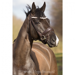 Premiera ''Imperia'' brown rolled bridle with crystal browband, gold buckles