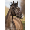 Premiera ''Imperia'' brown rolled bridle with crystal browband, silver buckles