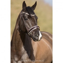 Premiera ''Imperia'' brown rolled bridle with white padding and crystal browband, gold buckles