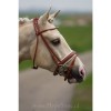 Premiera ''Monaco'' Cognac bridle with white padded patent leather noseband, silver buckles