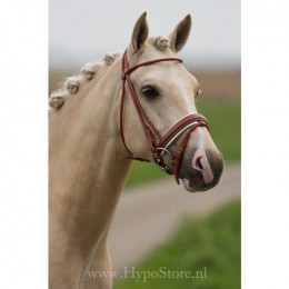 Premiera ''Monaco'' Cognac bridle with white padded patent leather noseband, silver buckles