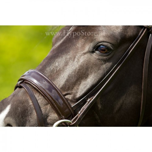 Premiera "Athena" brown bridle with patent leather noseband, silver buckles