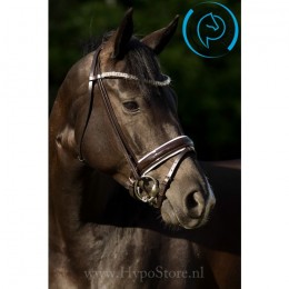 Premiera "Athena" brown bridle with white padded patent leather noseband, silver buckles