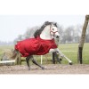 MASTER winter rug metallic red 150g