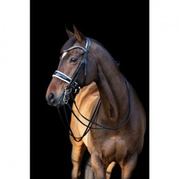 Tess Double bridle Wide