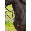 LeMieux Arika martingale