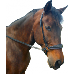 F.R.A. Bitless Bridle Lami