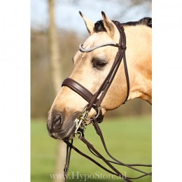 Premiera ''Levanto'' Brown double bridle with crystal browband, gold buckles