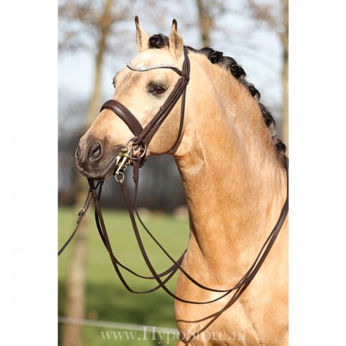 Premiera ''Levanto'' Brown double bridle with crystal browband, gold buckles