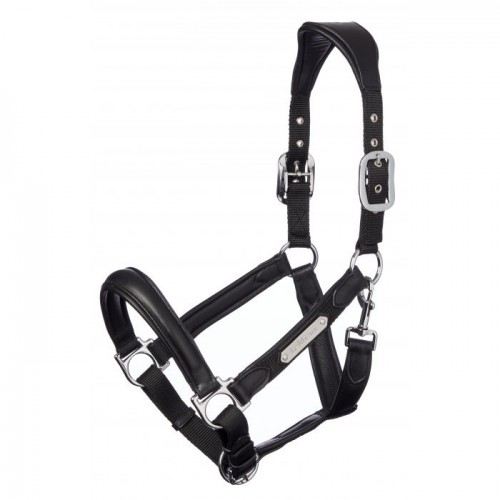 LeMieux Capella leather headcollar