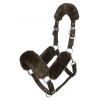 LeMieux Comfort halter