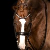 Mrs. Ros Double Bridle Galaxy Silver