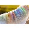 Lucky Horse Unicorn Rainbow Hair Chalk