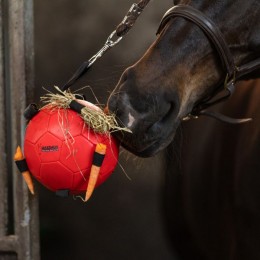 Maximus Fun Play Ball