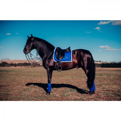 Equestrian Stockholm Sapphire fleece bandages