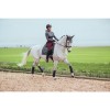 Equestrian Stockholm SS'21 Silver Cloud No Boundaries bandages