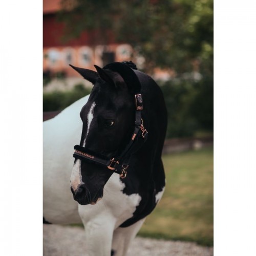 Equestrian Stockholm FW'22 Dark Sky Halter