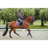 Equestrian Stockholm FW'21 Orchid Bloom bandages