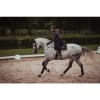 Equestrian Stockholm FW'22 Dark Sky Fleece bandages