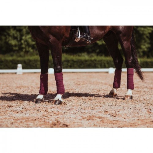 Equestrian Stockholm FW'20 Fleece bandages Purple White Edge