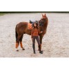 Equestrian Stockholm FW'21 Bronze Gold bandages